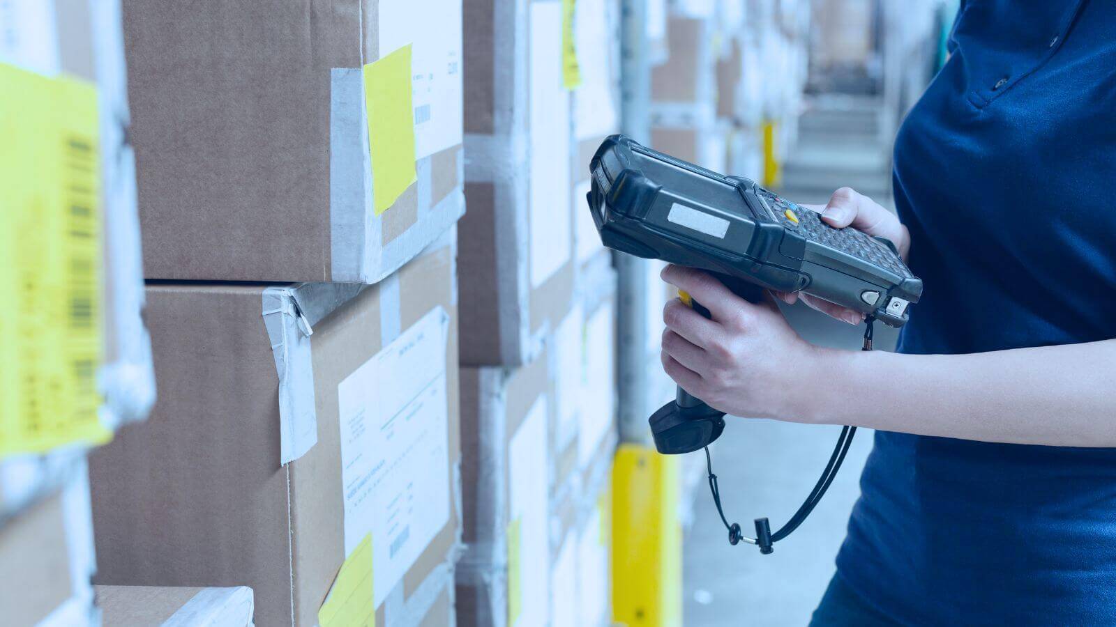 What is Warehouse Automation? Examples, Types, and Benefits